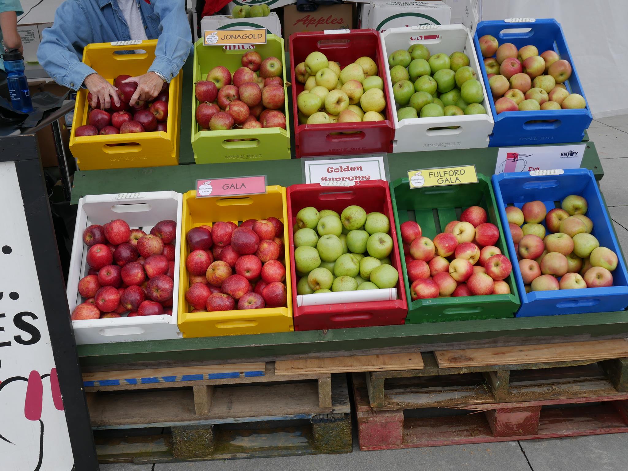 21246542_507791322907713_5249168396071909029_o