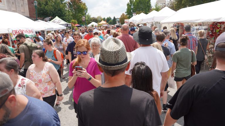 Exploring Hendersonville: Discovering the Heart and Soul of a Vibrant Community