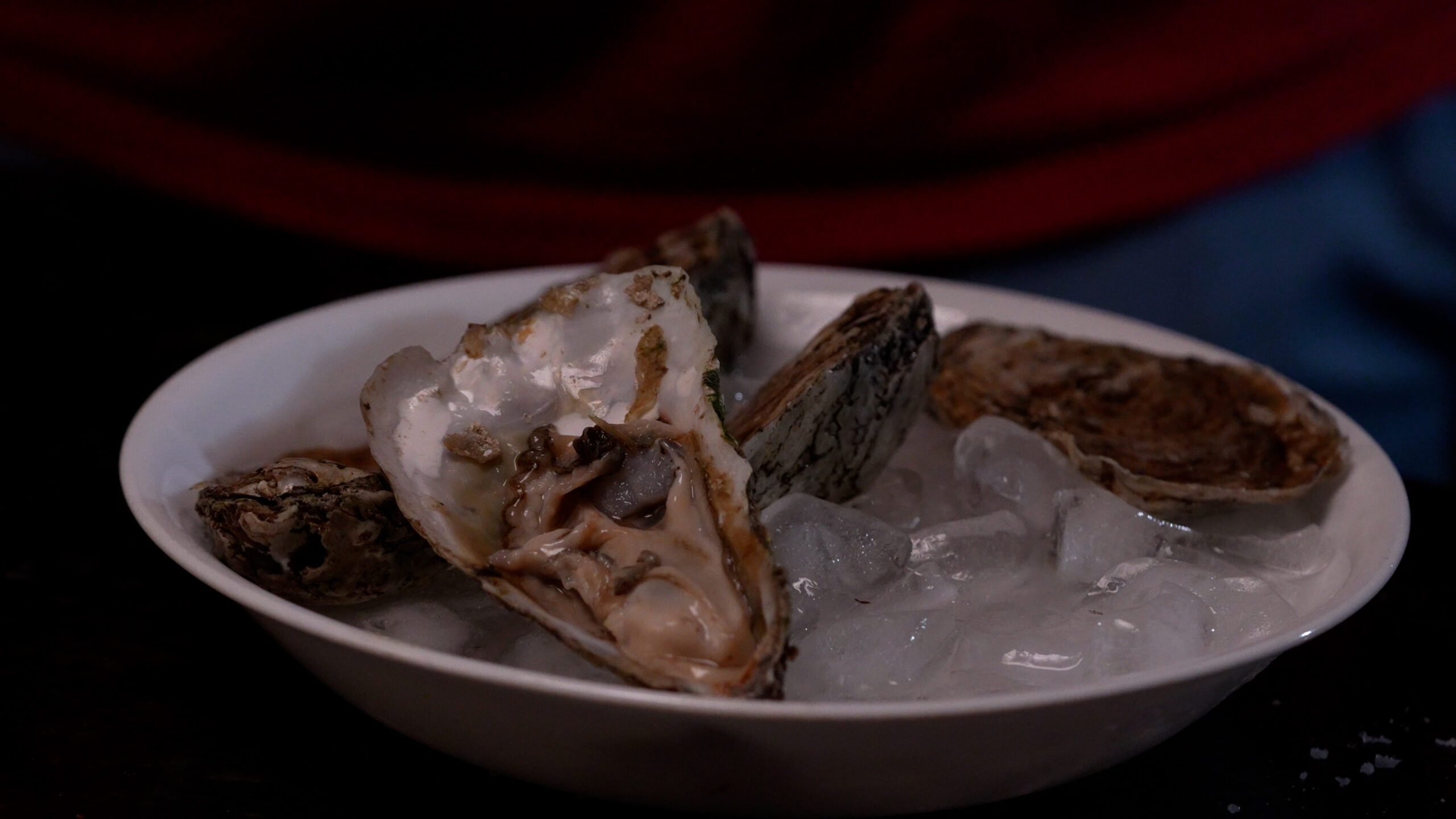 Baja Gold Sea Salt on Oysters